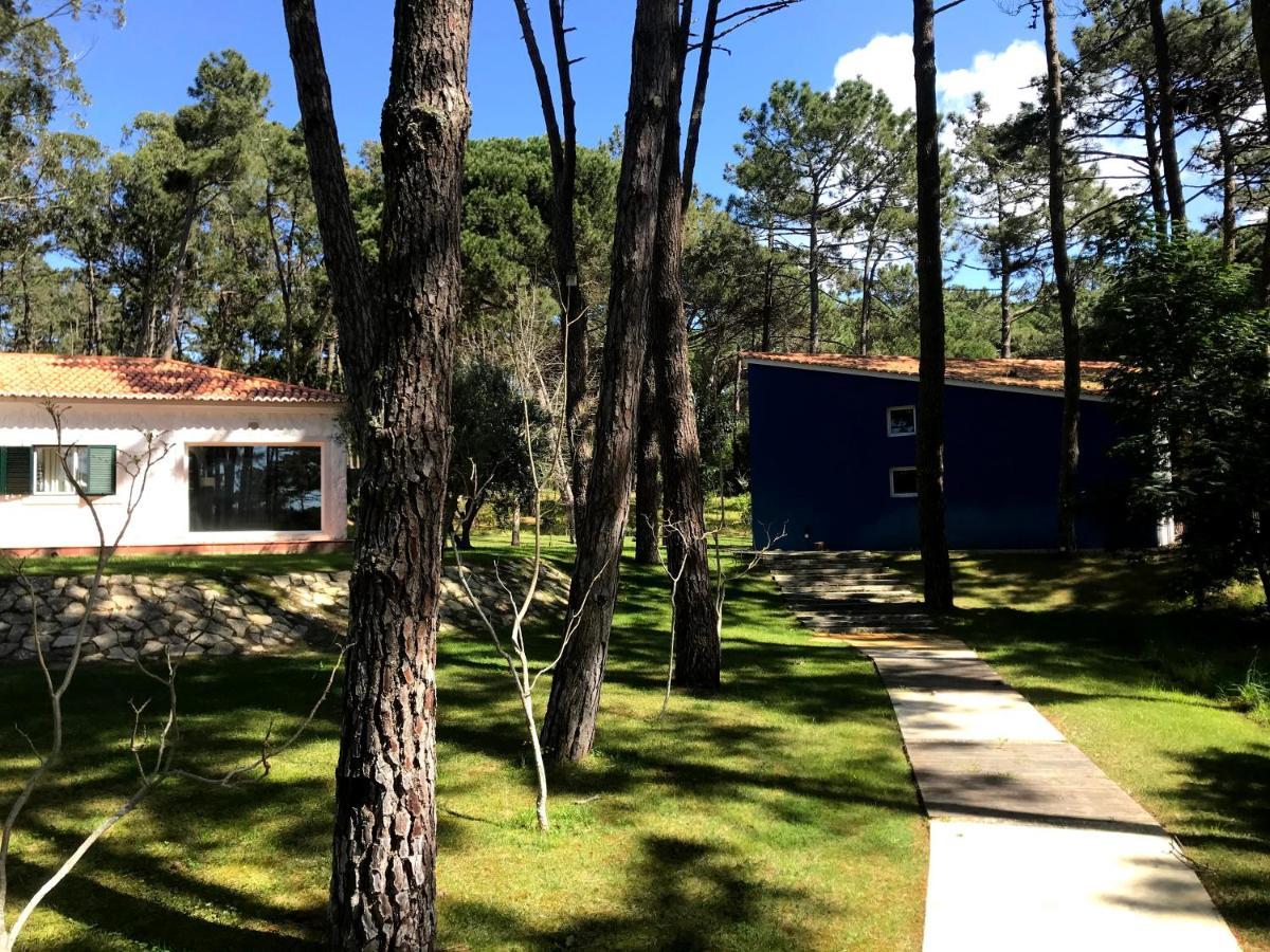 Villa Colares سينترا المظهر الخارجي الصورة