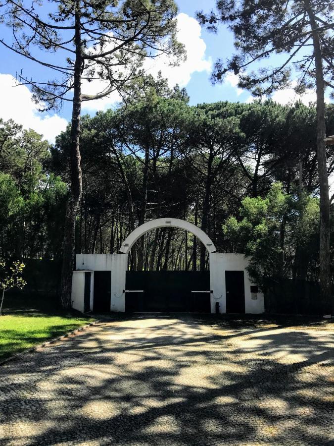 Villa Colares سينترا المظهر الخارجي الصورة