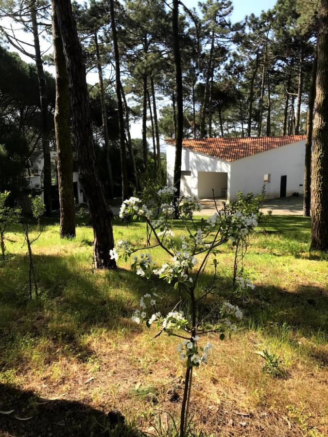 Villa Colares سينترا المظهر الخارجي الصورة