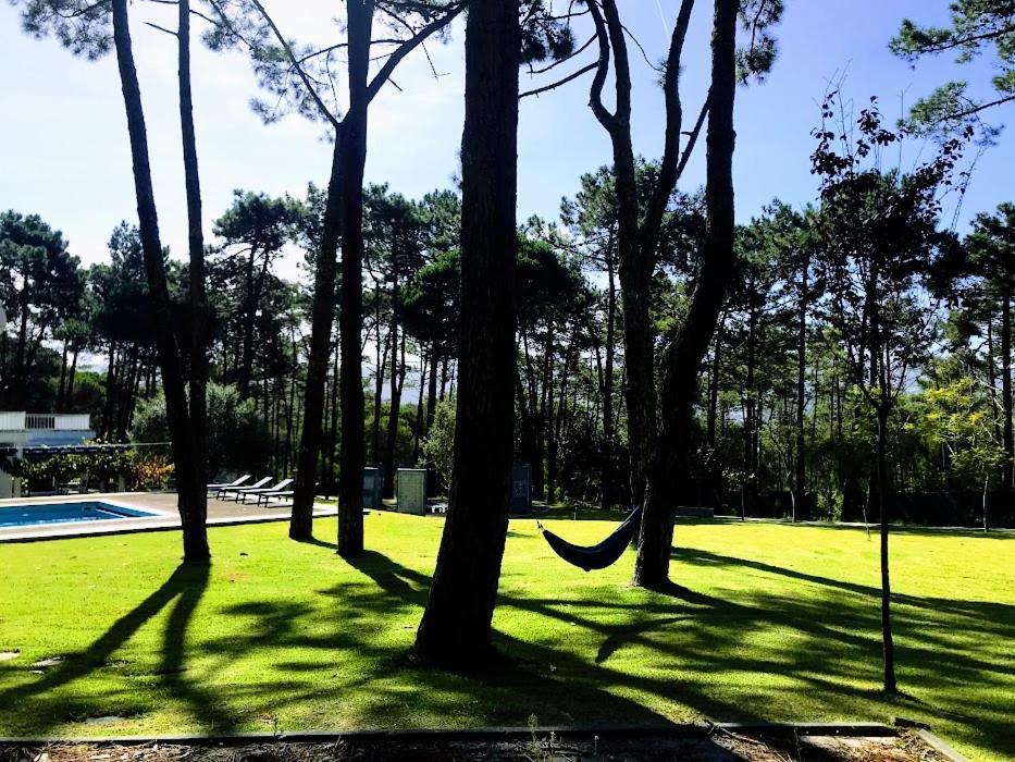 Villa Colares سينترا المظهر الخارجي الصورة