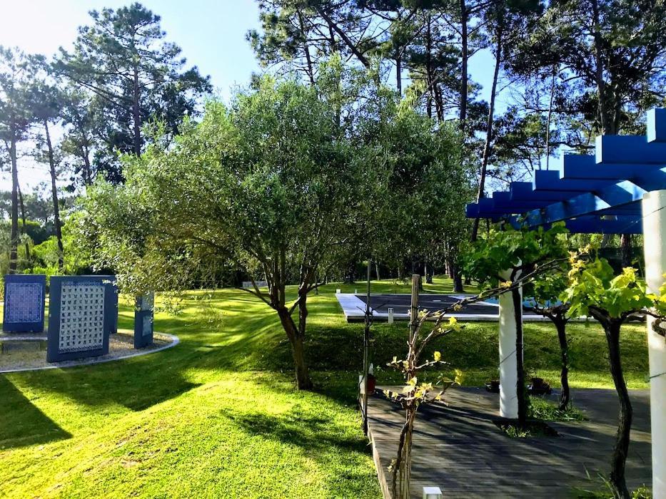 Villa Colares سينترا المظهر الخارجي الصورة